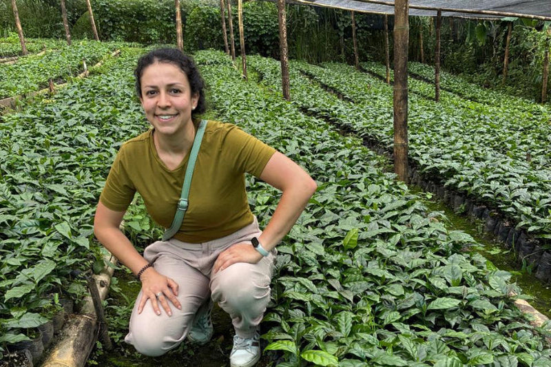 Coffee_Farm